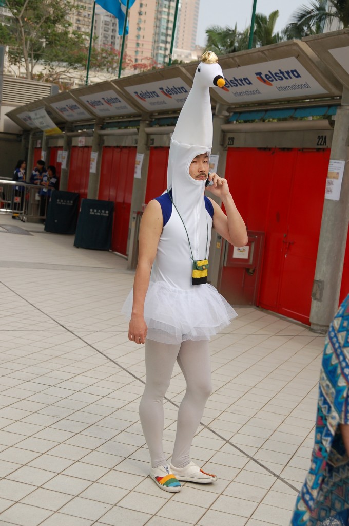 DSC_0336