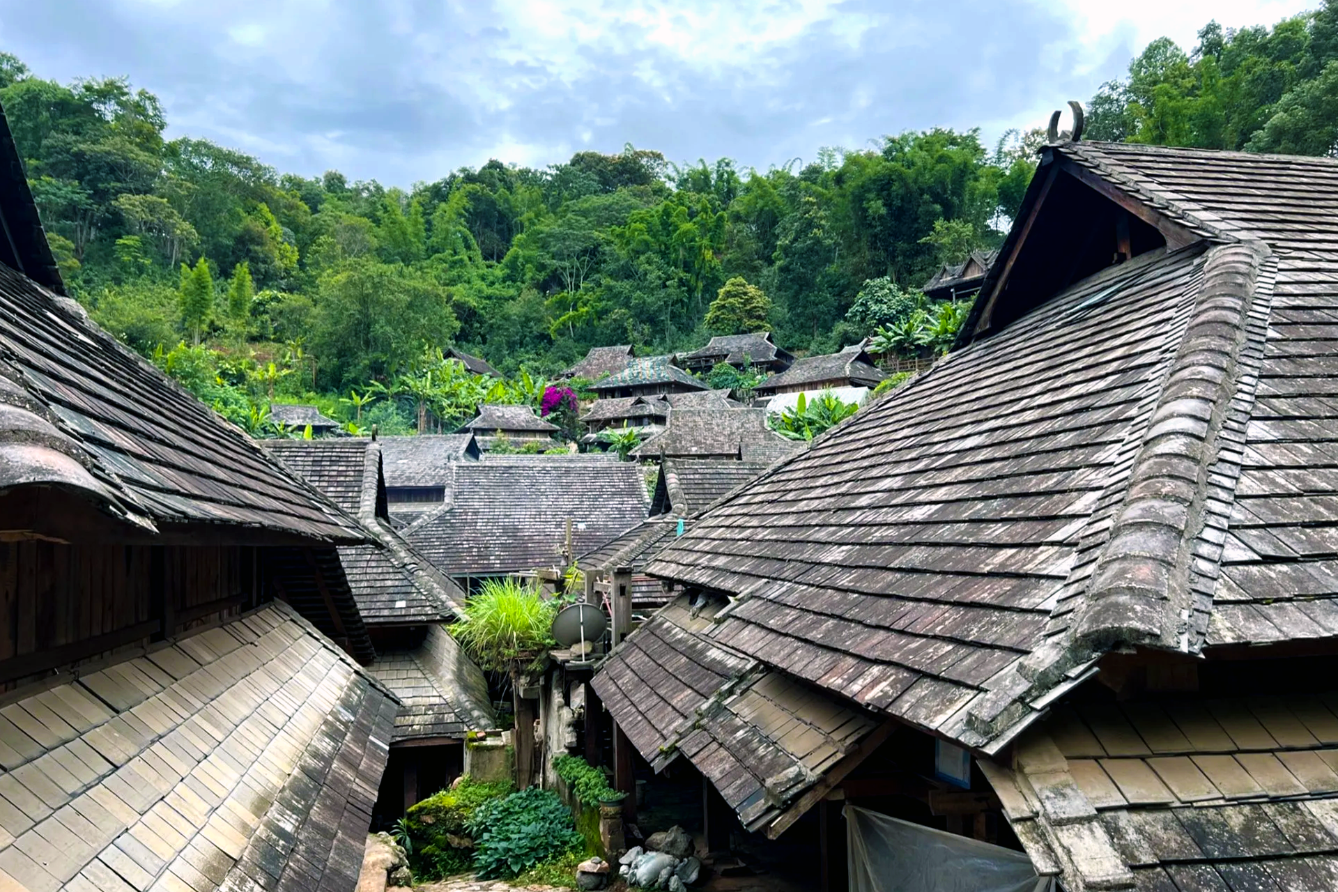 NOVEMBER 27, 2023 Mei Zhang on China’s Newest UNESCO Site: Jingmai Mountain
