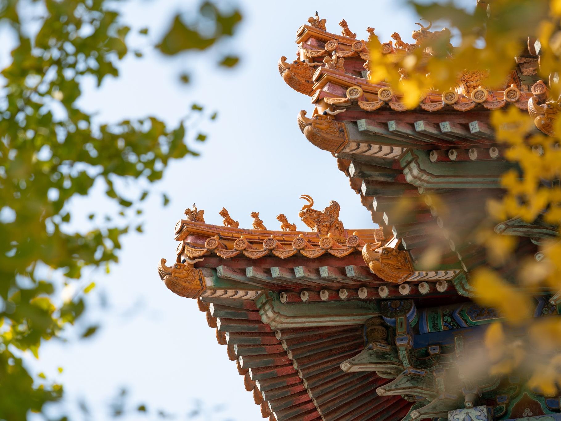 Forbidden City in Fall